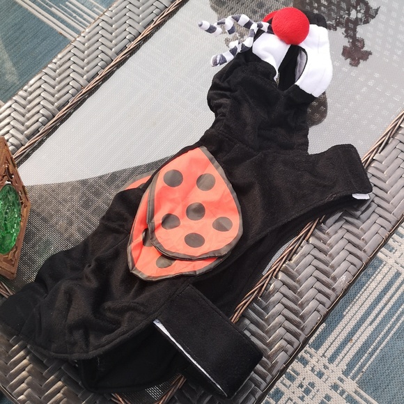 Halloween Dog Costume XL Ladybug 1 Piece Fleece Material See Measurements - Picture 3 of 16